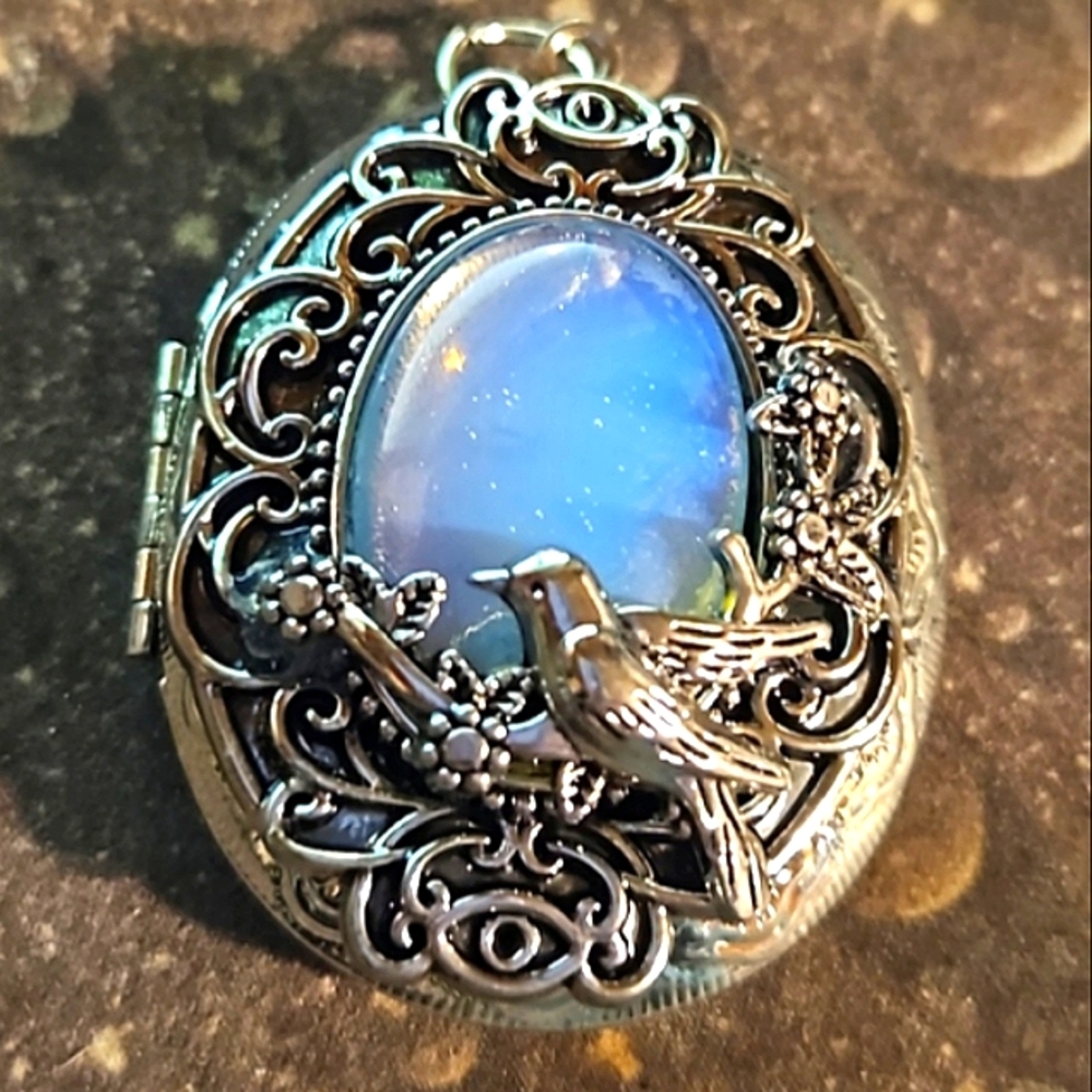 Moonstone Style Silver Bird Locket Vintage Unique and Rare